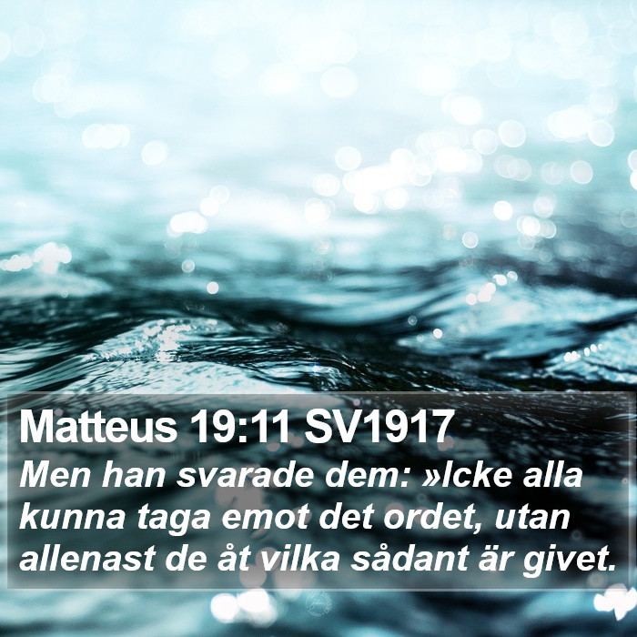 Matteus 19:11 SV1917 Bible Study