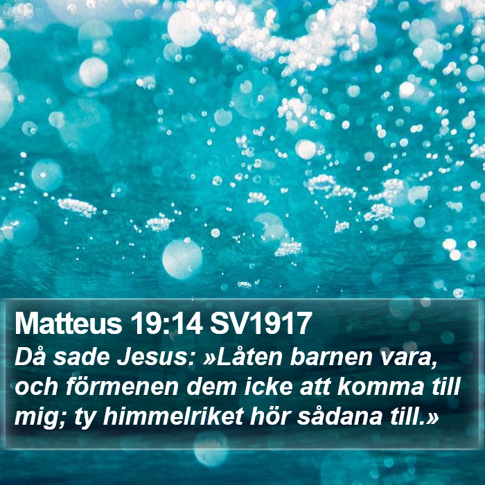 Matteus 19:14 SV1917 Bible Study