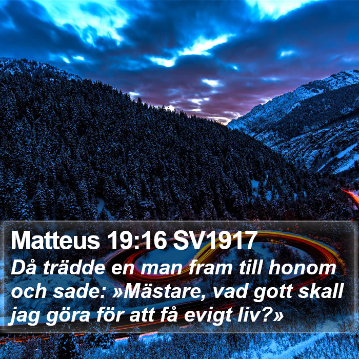 Matteus 19:16 SV1917 Bible Study