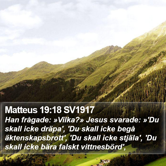 Matteus 19:18 SV1917 Bible Study