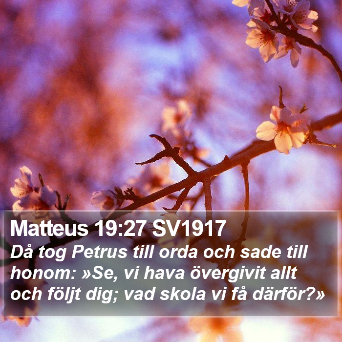 Matteus 19:27 SV1917 Bible Study