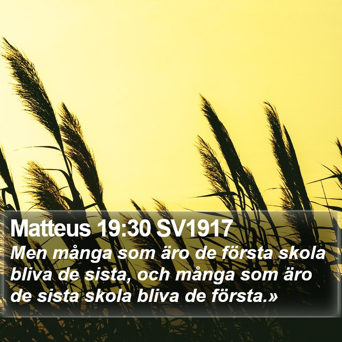 Matteus 19:30 SV1917 Bible Study