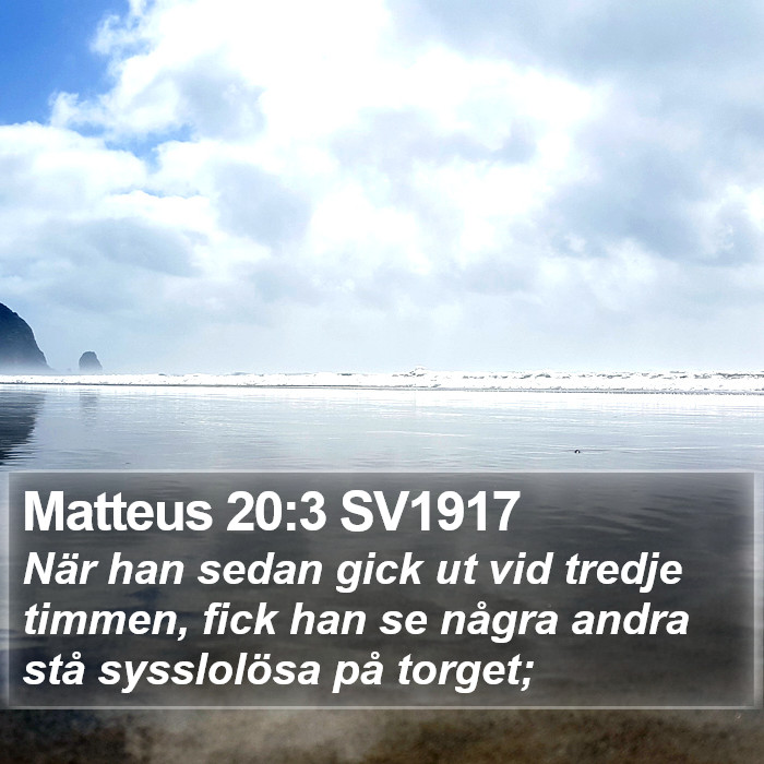 Matteus 20:3 SV1917 Bible Study