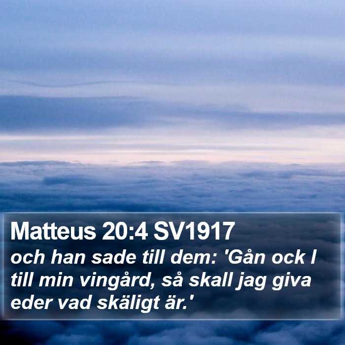 Matteus 20:4 SV1917 Bible Study