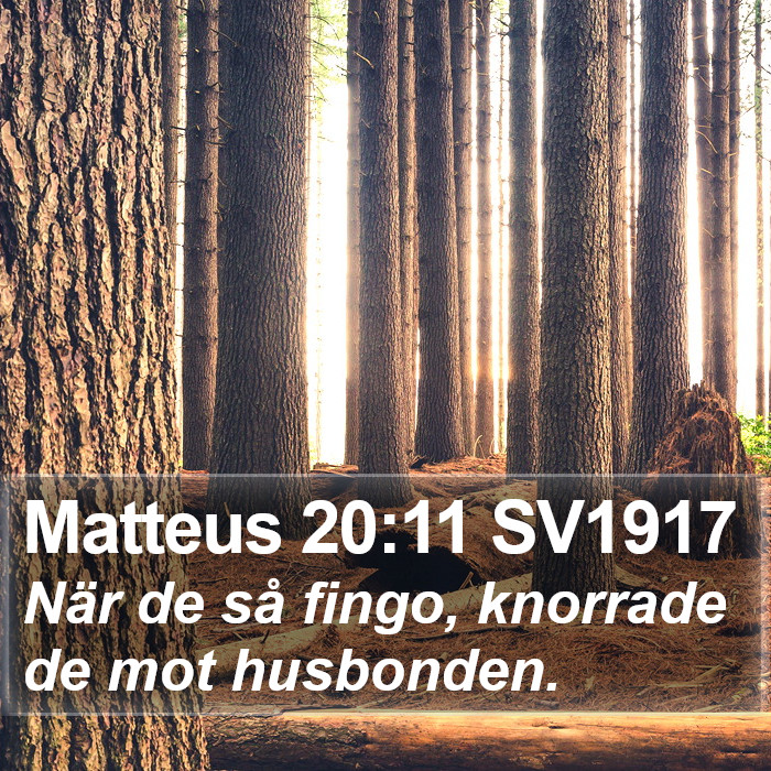 Matteus 20:11 SV1917 Bible Study