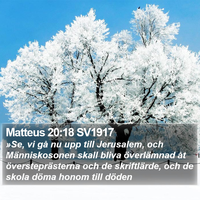 Matteus 20:18 SV1917 Bible Study