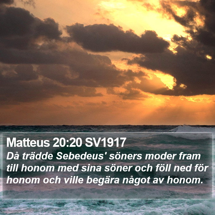 Matteus 20:20 SV1917 Bible Study