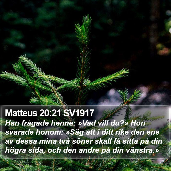 Matteus 20:21 SV1917 Bible Study