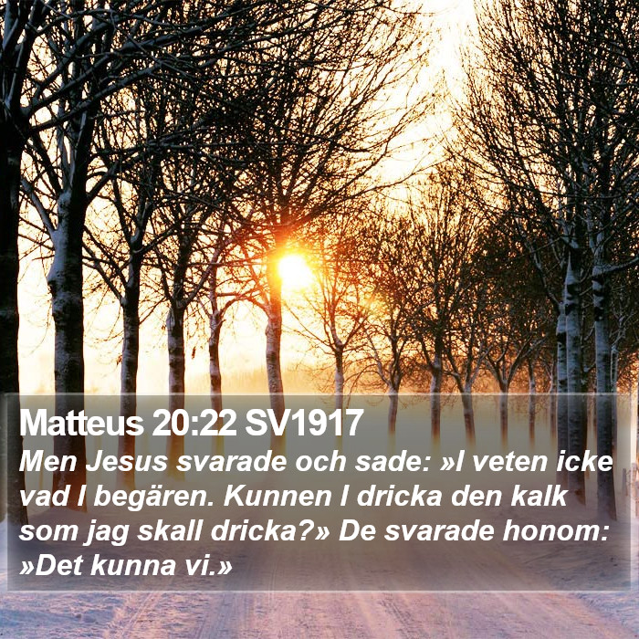 Matteus 20:22 SV1917 Bible Study