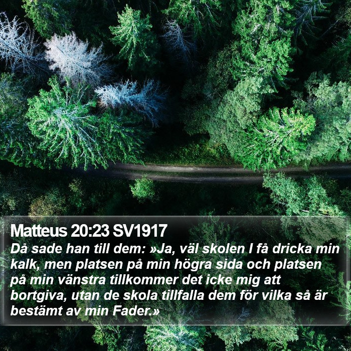 Matteus 20:23 SV1917 Bible Study
