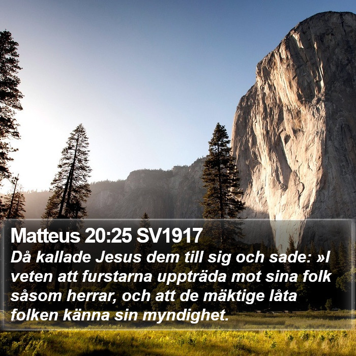 Matteus 20:25 SV1917 Bible Study