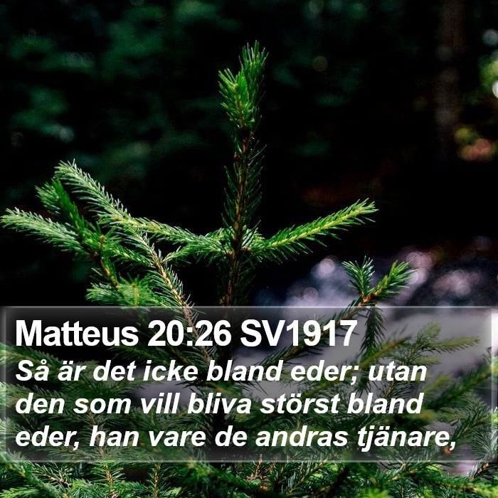 Matteus 20:26 SV1917 Bible Study