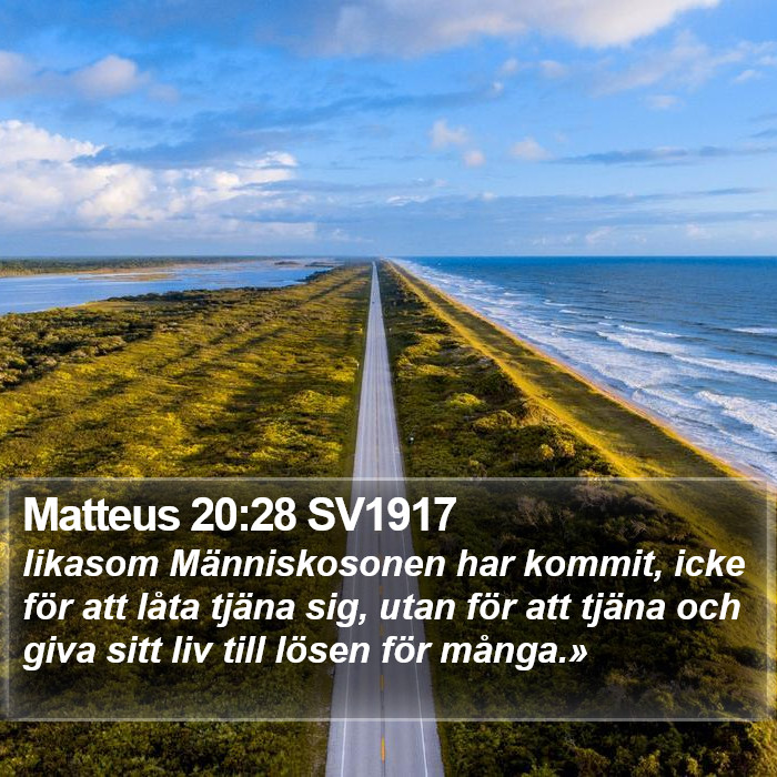 Matteus 20:28 SV1917 Bible Study