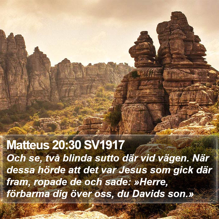 Matteus 20:30 SV1917 Bible Study