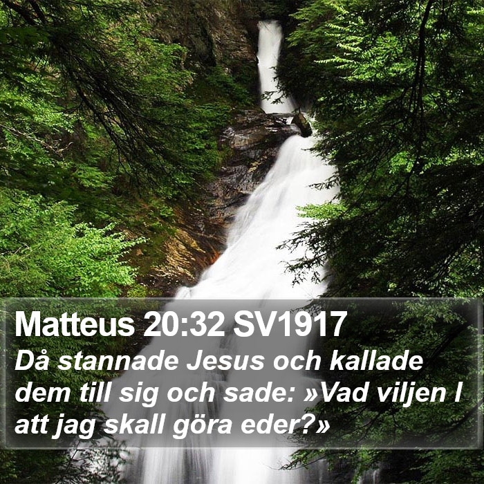 Matteus 20:32 SV1917 Bible Study