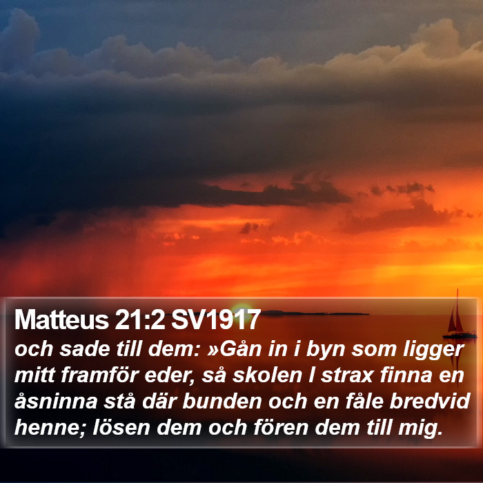 Matteus 21:2 SV1917 Bible Study