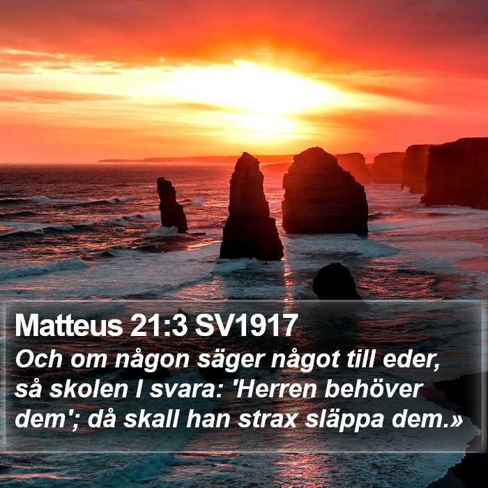 Matteus 21:3 SV1917 Bible Study