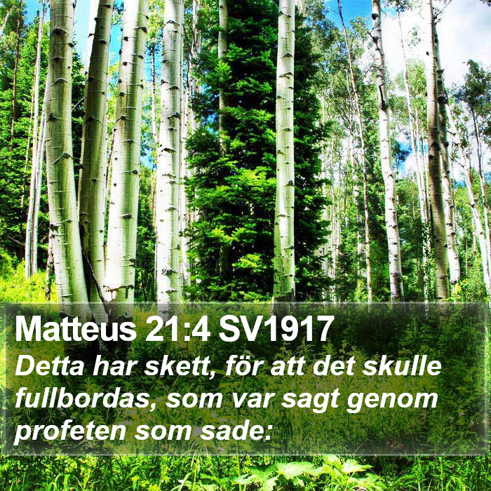 Matteus 21:4 SV1917 Bible Study