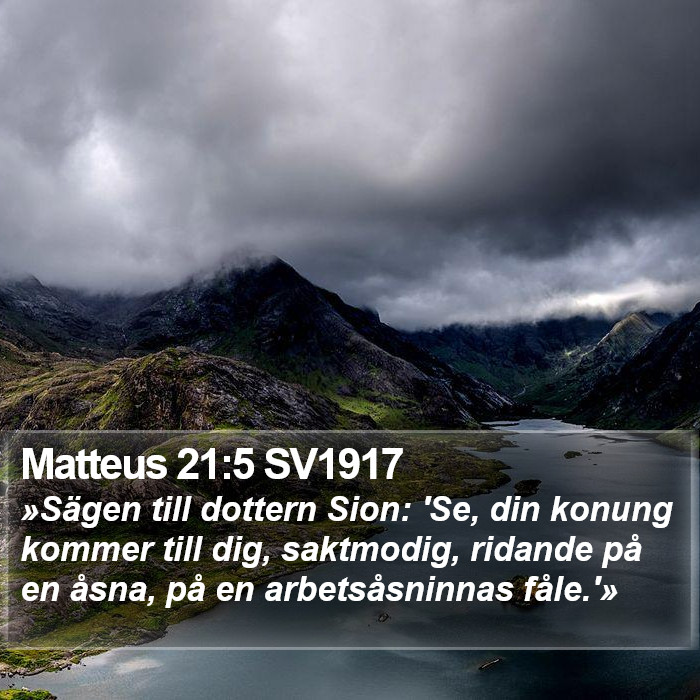 Matteus 21:5 SV1917 Bible Study