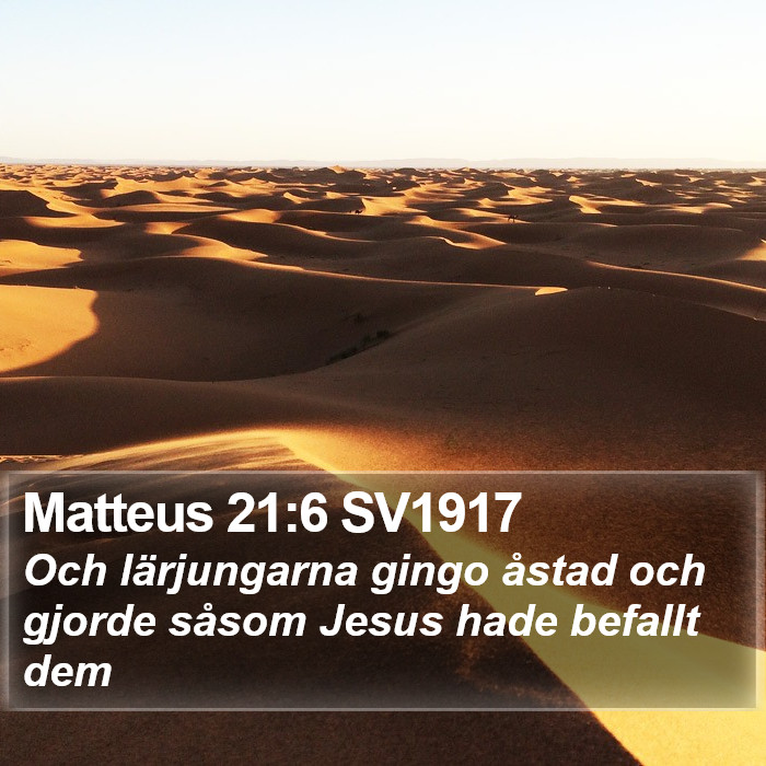 Matteus 21:6 SV1917 Bible Study