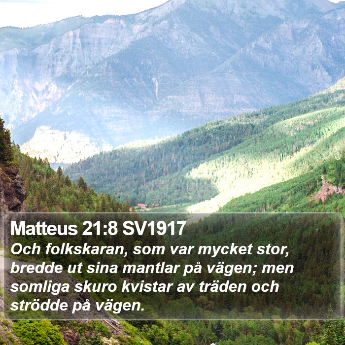 Matteus 21:8 SV1917 Bible Study