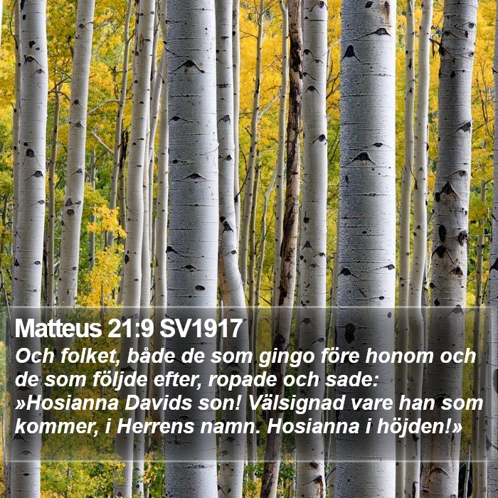 Matteus 21:9 SV1917 Bible Study