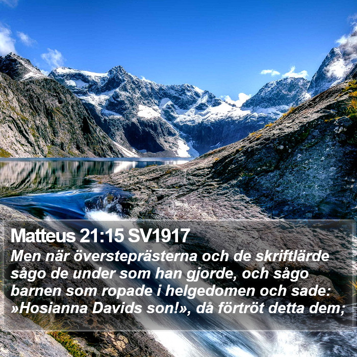 Matteus 21:15 SV1917 Bible Study