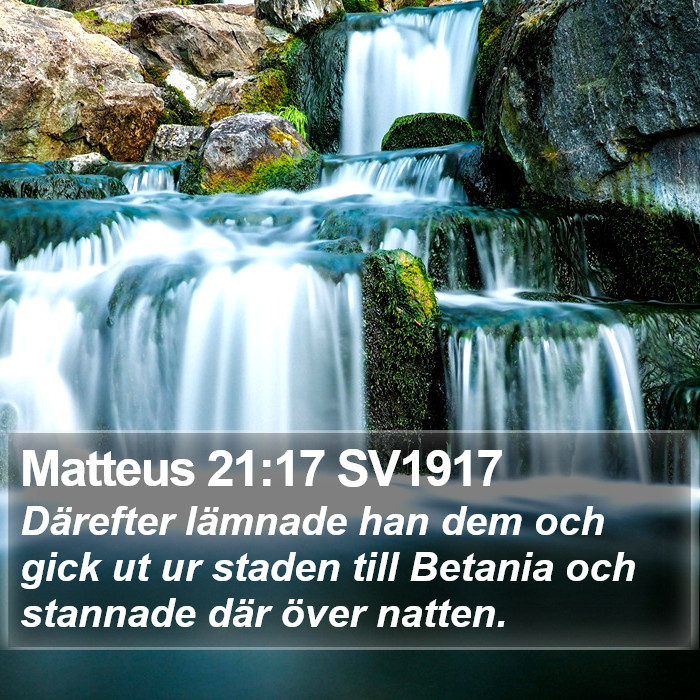 Matteus 21:17 SV1917 Bible Study
