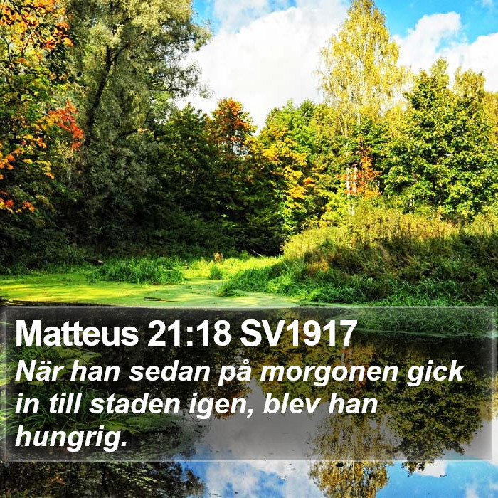 Matteus 21:18 SV1917 Bible Study