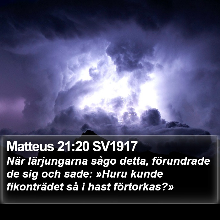 Matteus 21:20 SV1917 Bible Study