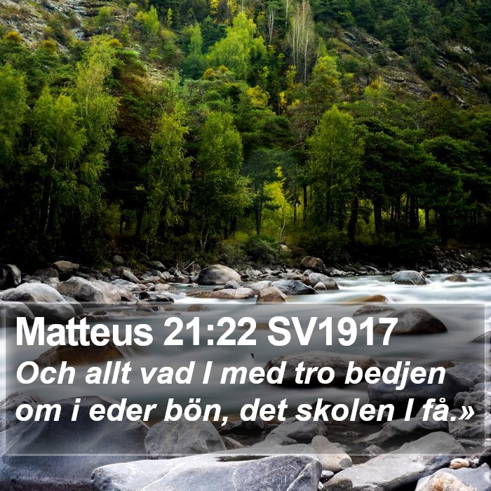 Matteus 21:22 SV1917 Bible Study