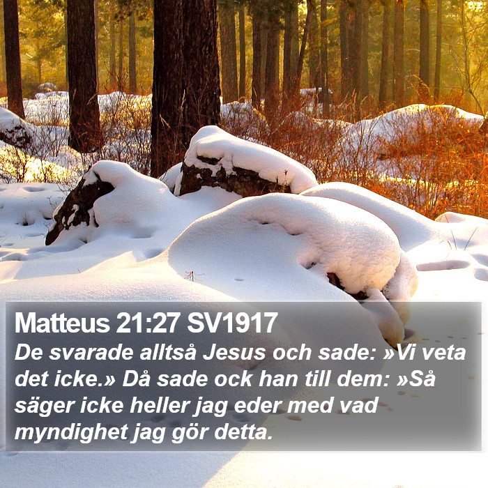 Matteus 21:27 SV1917 Bible Study