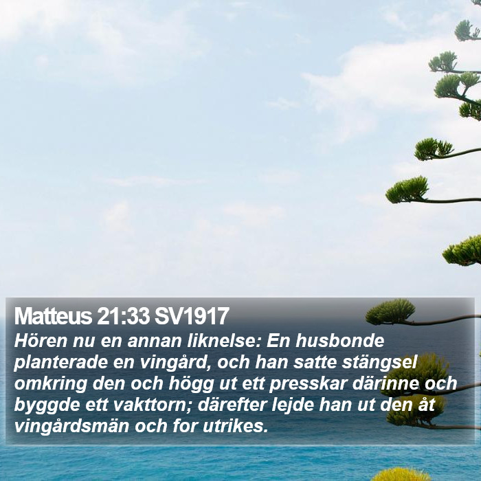 Matteus 21:33 SV1917 Bible Study