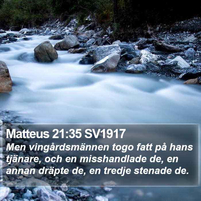 Matteus 21:35 SV1917 Bible Study