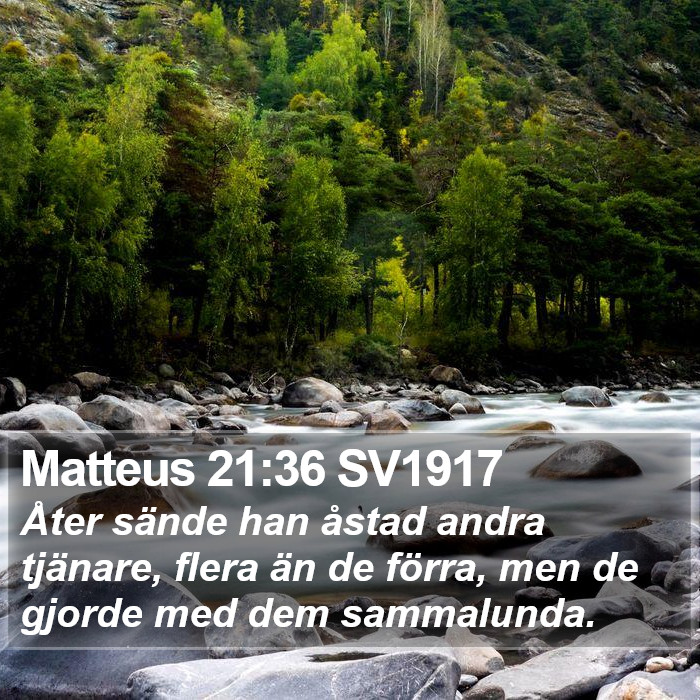 Matteus 21:36 SV1917 Bible Study