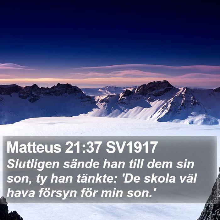 Matteus 21:37 SV1917 Bible Study