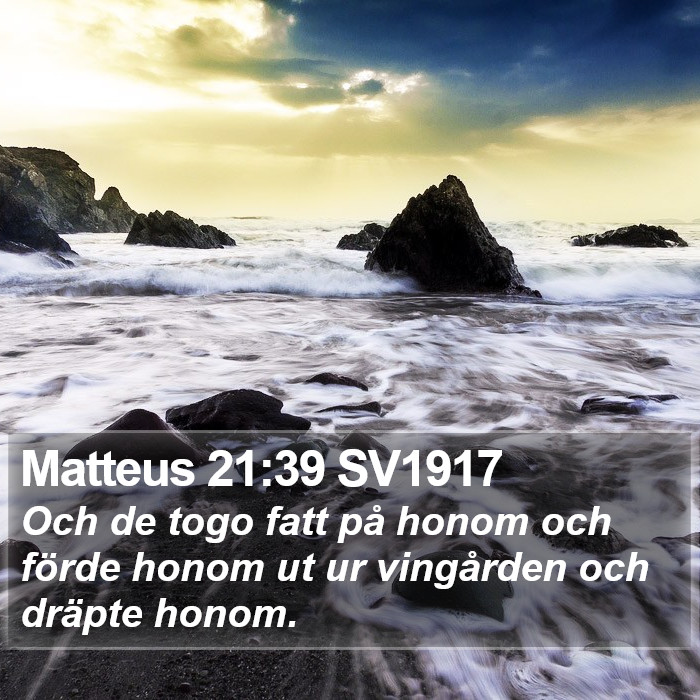 Matteus 21:39 SV1917 Bible Study