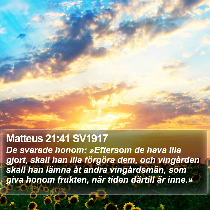 Matteus 21:41 SV1917 Bible Study
