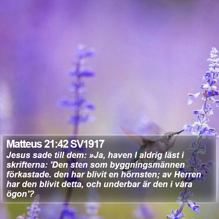 Matteus 21:42 SV1917 Bible Study