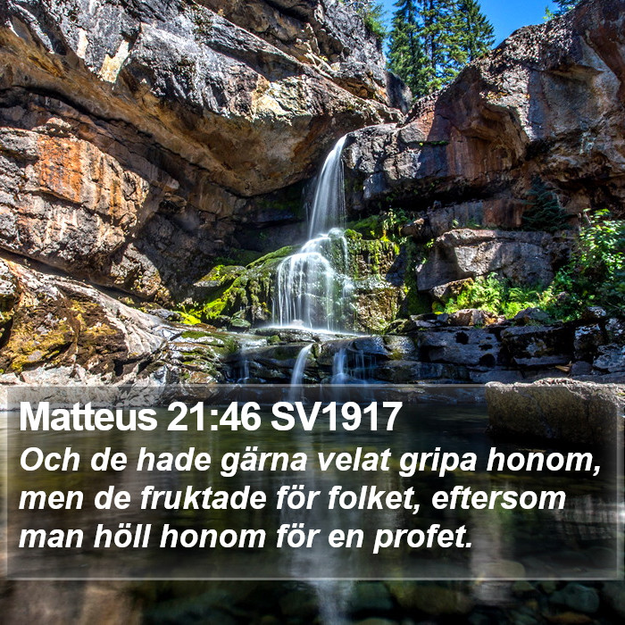 Matteus 21:46 SV1917 Bible Study