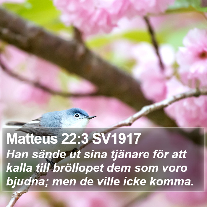 Matteus 22:3 SV1917 Bible Study