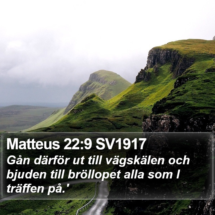 Matteus 22:9 SV1917 Bible Study