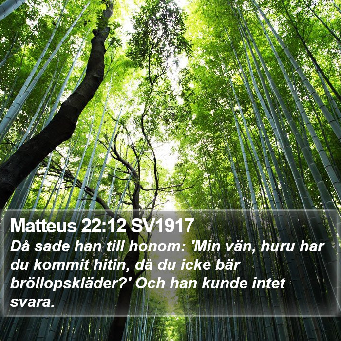 Matteus 22:12 SV1917 Bible Study