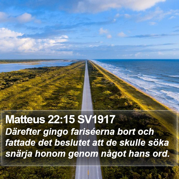 Matteus 22:15 SV1917 Bible Study