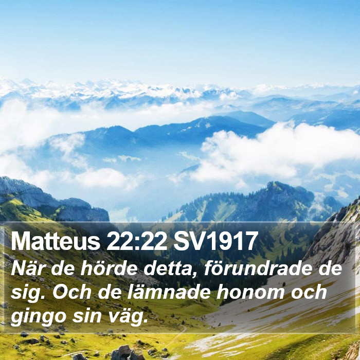 Matteus 22:22 SV1917 Bible Study