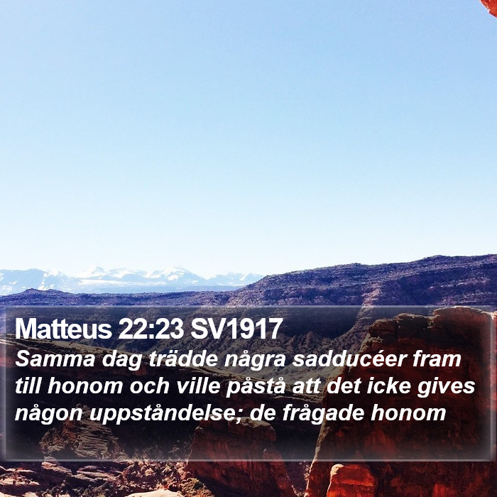 Matteus 22:23 SV1917 Bible Study
