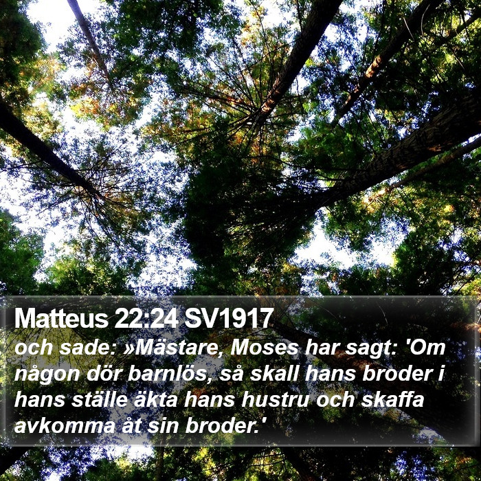Matteus 22:24 SV1917 Bible Study