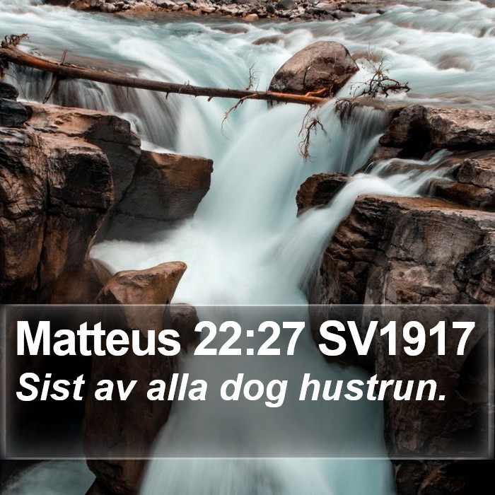 Matteus 22:27 SV1917 Bible Study