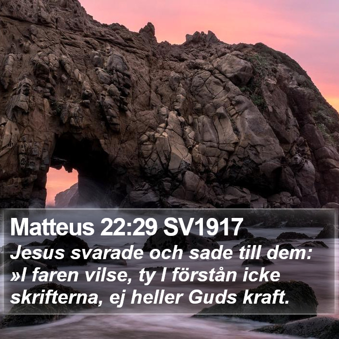 Matteus 22:29 SV1917 Bible Study
