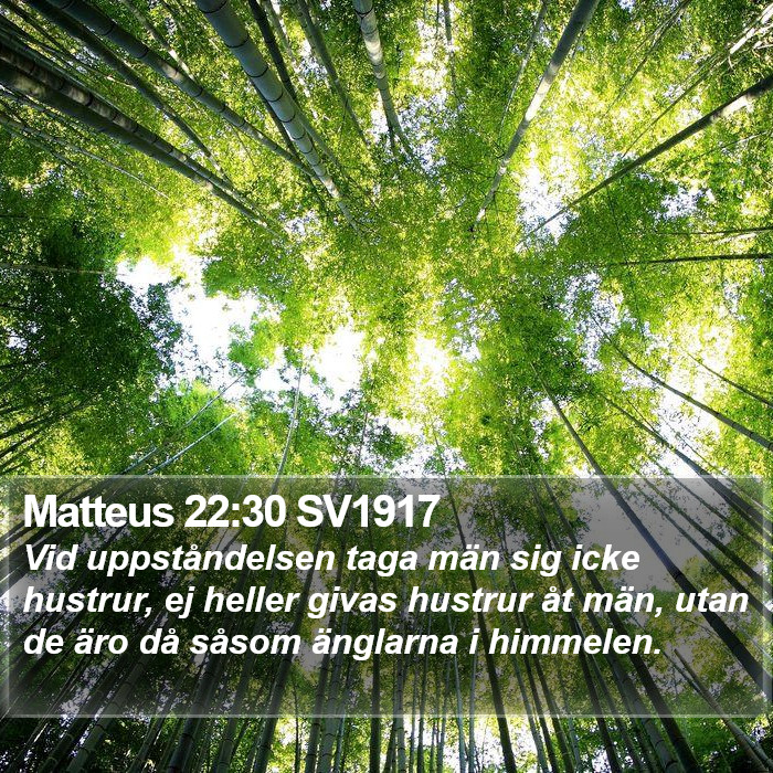 Matteus 22:30 SV1917 Bible Study